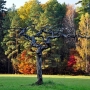 Park Pałacowy