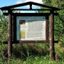 Park przydworski.