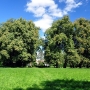 Park przydworski.