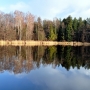 Rezerwat Przyrody 'Krasne'- Supraśl
