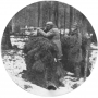 Rezerwat pokazowy Puszczy Białowieskiej