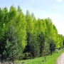 Gospodarstwo agroturystyczne 'Ritowisko'