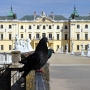 Barokowy Park Pałacowy