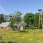 Ludomirowo bociany