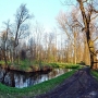 Boczny kanał w pałacowym parku wczesną wiosną.