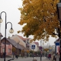 Rynek Zygmunta Augusta