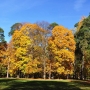 Park jesienią jest najpiękniejszy.