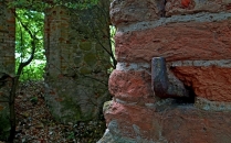 Park podworski de Virionów