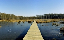 Mokradła Wyżary