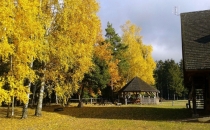 Janewiczówka