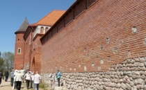 Zamek tykociński