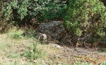 Szlak schronów bojowych z 1939r.(schron nr11)
