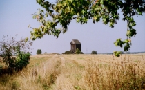 Wiatrak koźlak