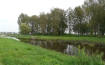 Grodzisko z XI wieku.