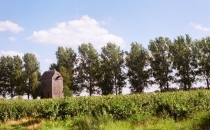 Wiatrak koźlak