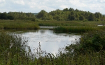 Zalew