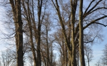Zabytkowe założenie przestrzenno-krajobrazowe zespołu dworskiego