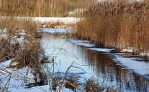 Biebrzański Park Narodowy