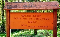 Rezerwat 'Surażkowo'. Galeria leśna Powstania Styczniowego 1863r.