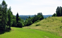 Północe tereny Parku.