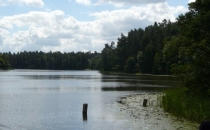 Jezioro Rospuda Augustowska