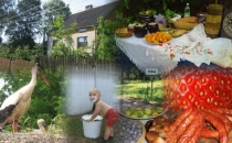 Agroturystyka Nina i Eugeniusz Góralczuk