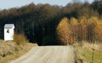 Kapliczka polna NMP