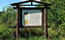 Park przydworski.
