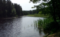 Leśny zbiornik wodny