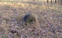 Dawny Cmentarz Choleryczny/Unicki (Mogiłki)