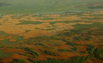 Loty balonem - Rzeka Narew i okolice.