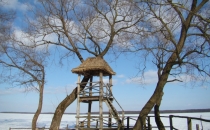 Wieża widokowa