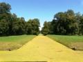 Park pałacowy