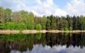Rezerwat Przyrody 'Krasne'- Supraśl